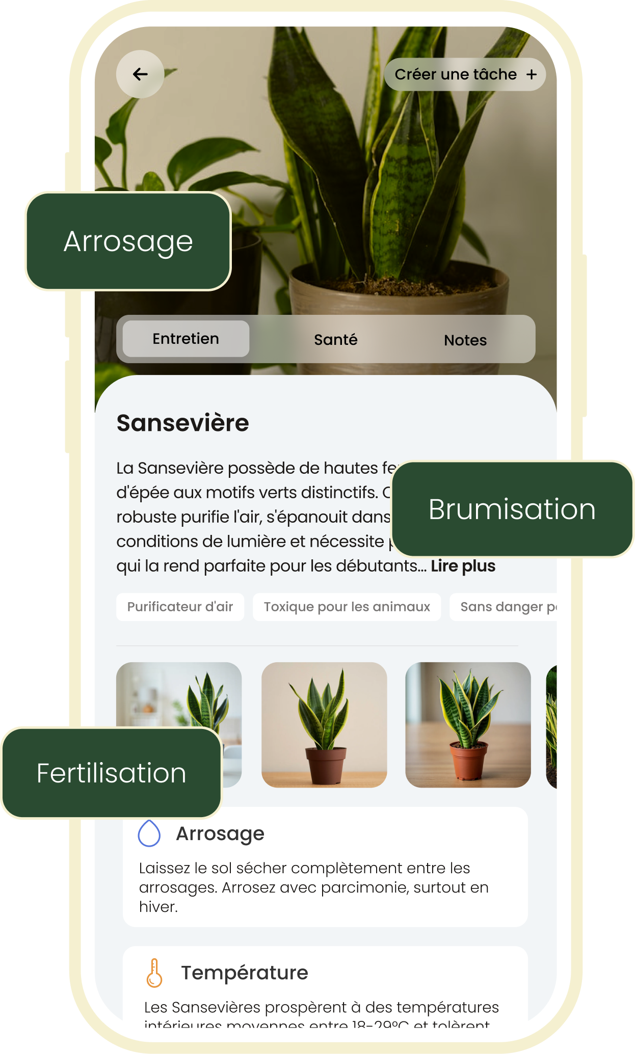 Plan d'entretien personnalisé des plantes dans l'application Plant ID